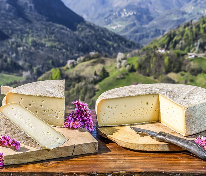 "Ol minadur" formaggio a km 0 a Dossena, in Val Brembana