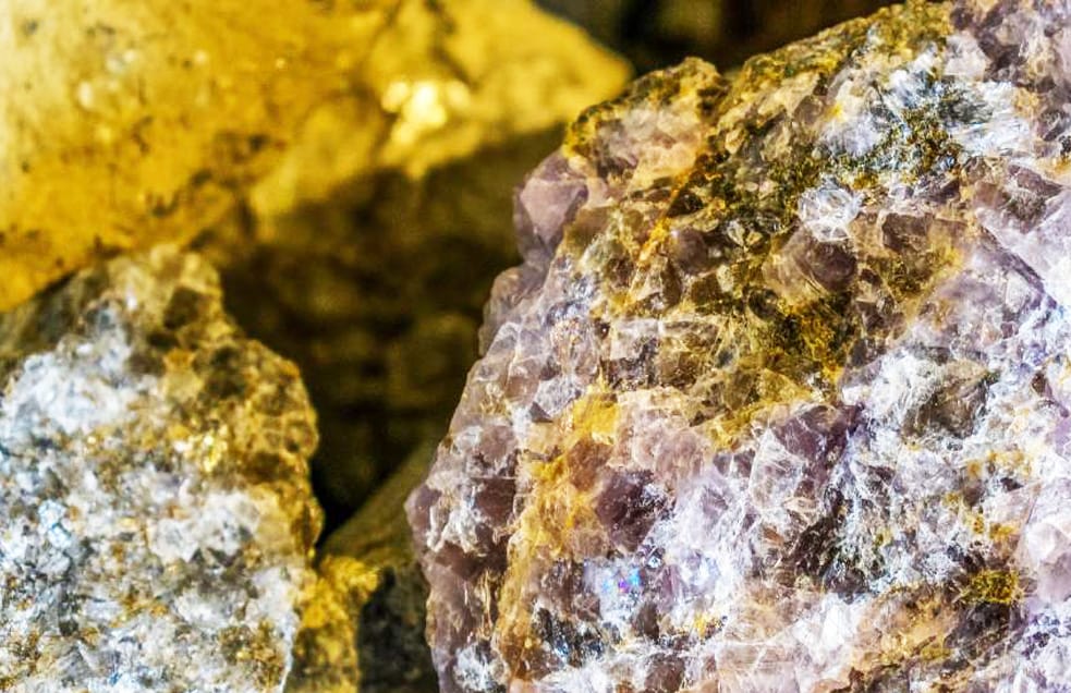 Attività culturali per le scuole, minerali e vita animale nel sottosuolo.